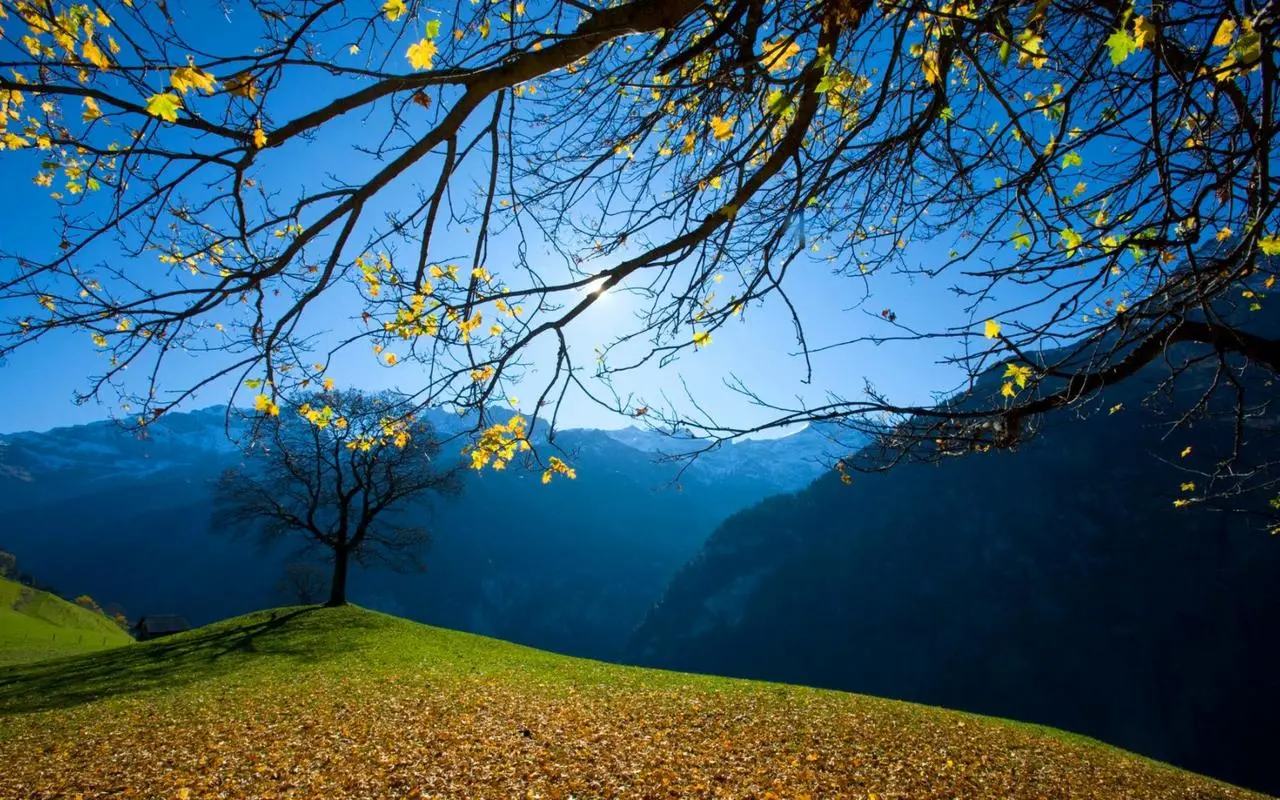 全自动高端